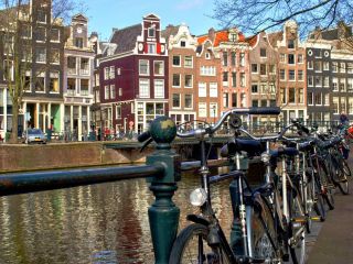 Символом Нидерландов, помимо беспрепятственной свободы, являются ветряные мельницы, сыр и цветы - в основном тюльпаны,   которые играют значительную роль в экономике страны